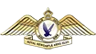 Royal Newcastle Aero Club Flight Training Tiger Moth Joy Flights